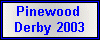 Pinewood Derby 2003 - Patrick won First Place - Best Design